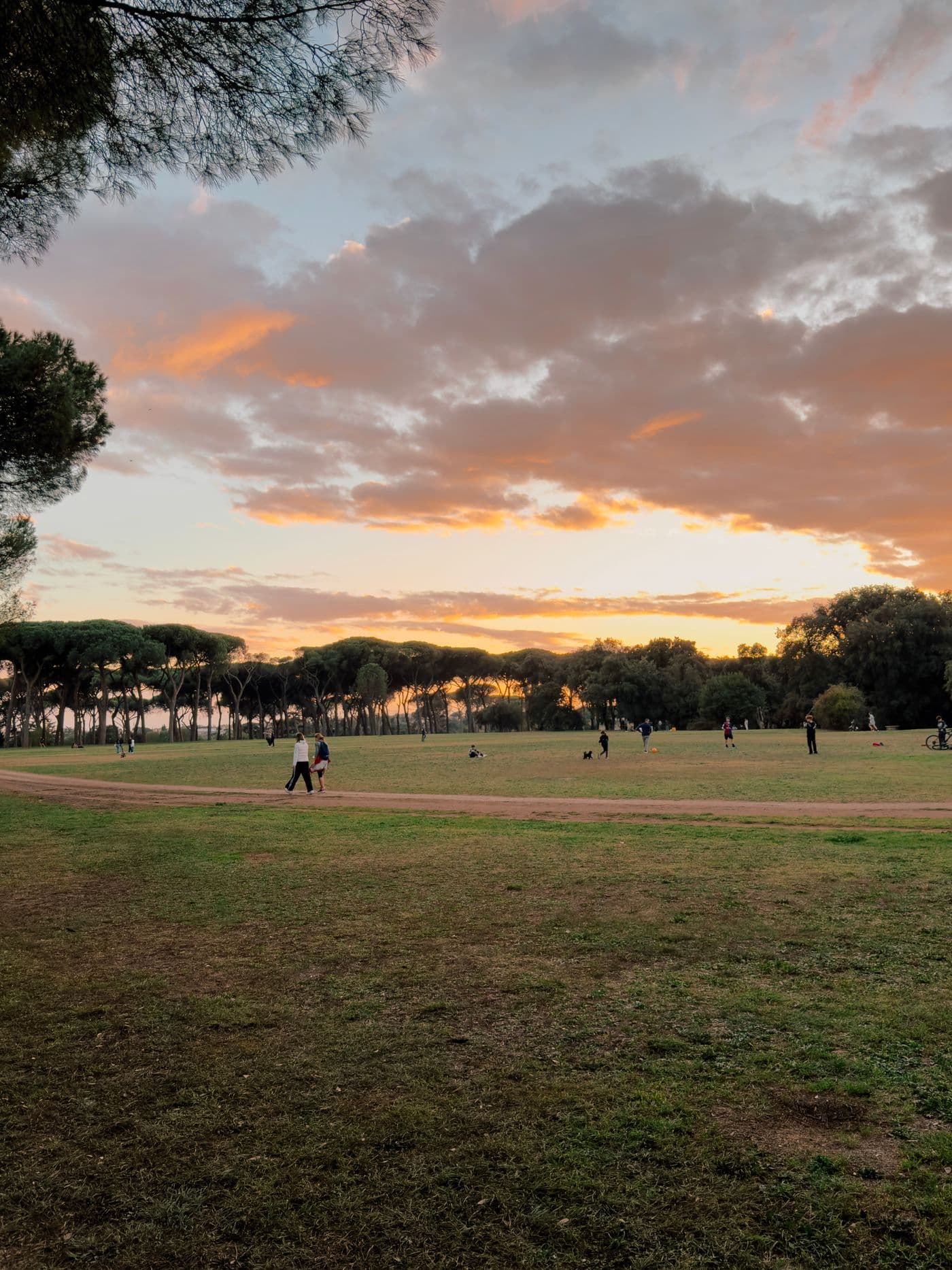 Tramonto sul parco di Villa Doria Pamphilj, a Monteverde
